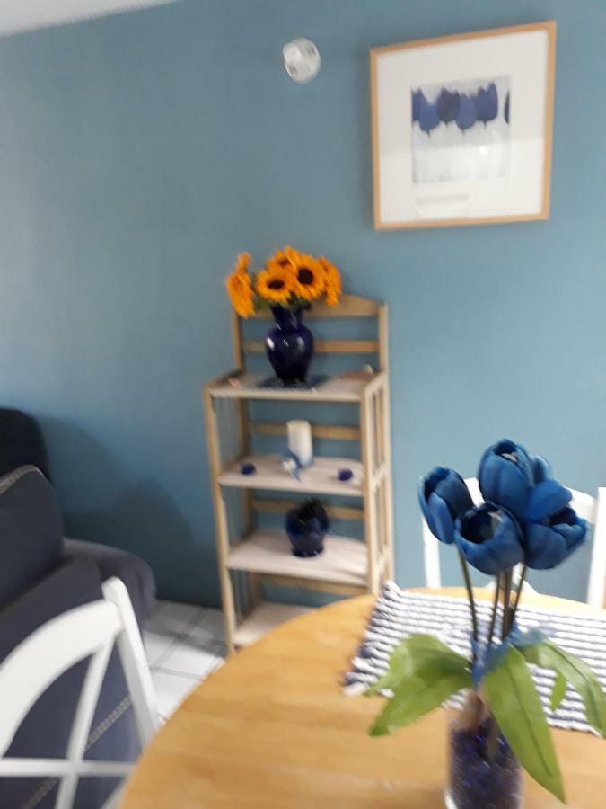 Blue House Villa Енсенада Екстериор снимка